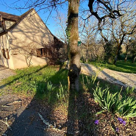 Domaine De Gayfie Salvagnac-Cajarc Exterior foto